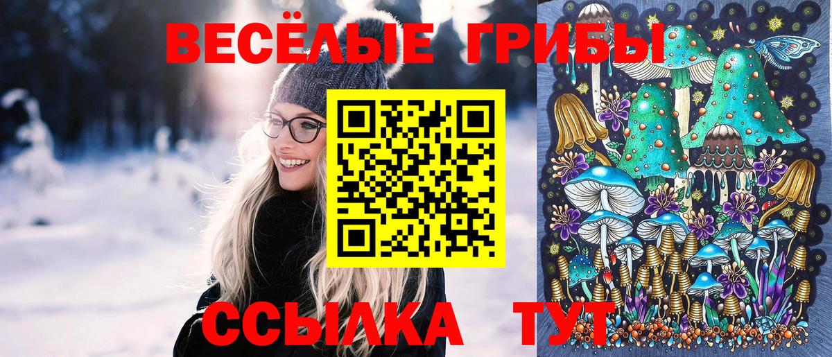 Псилоцибиновые грибы мухоморы  дарнет шоп  Мелеуз  Псилоцибиновые грибы мицелий  Вход с VPN 
